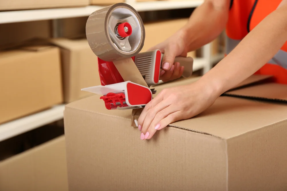 Cargo Packing Service