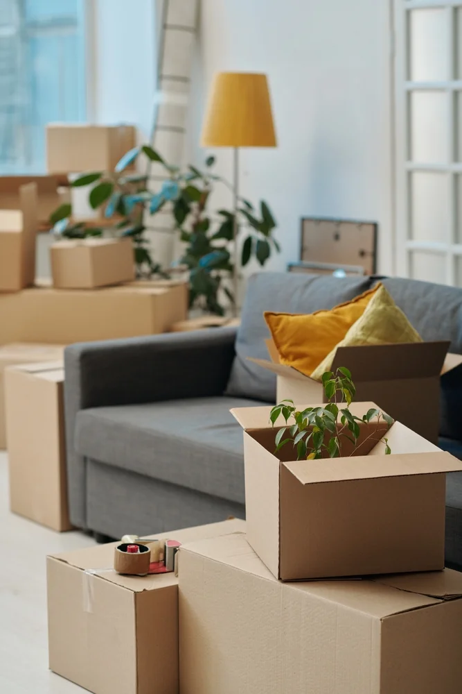 packers and movers in karama