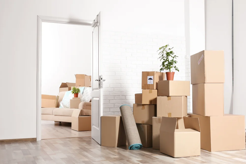 movers and packers in dubai silicon oasis mister packer