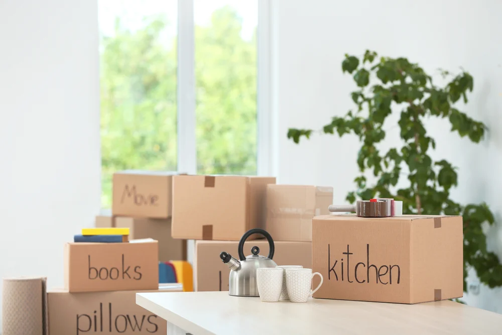 mister packers is a best movers and packers