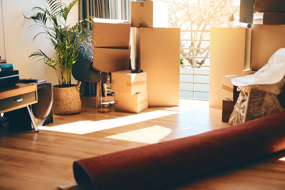 Movers And Packers Bur Dubai Mister Packers